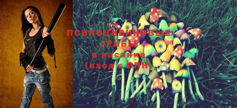 Галлюциногенные грибы MAGIC MUSHROOMS  где продают   Миньяр 